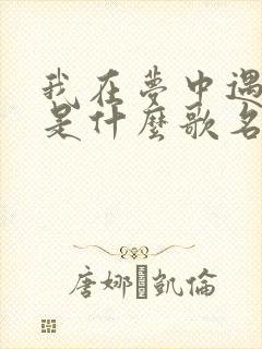 我在梦中遇见你是什么歌名