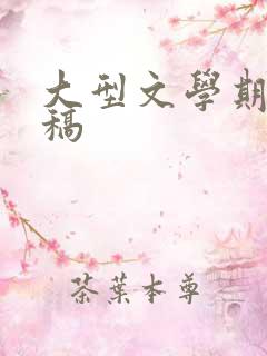 大型文学期刊投稿