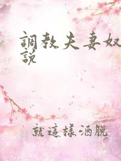 调教夫妻奴的小说