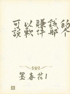 可以赚钱的写小说软件哪个好