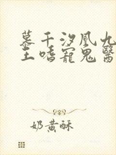 慕千汐凰九夜邪王嗜宠鬼医狂妃