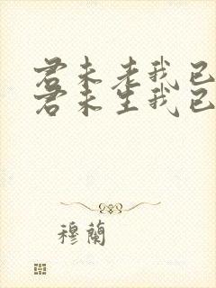 君未老我已老,君未生我已生