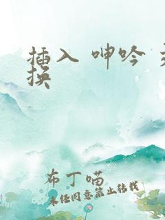 插入 呻吟 交换
