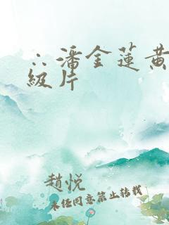 ∴潘金莲黄色一级片