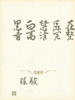 黑白禁区在线观看高清完整免费