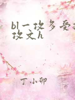 bl一攻多受总攻文h