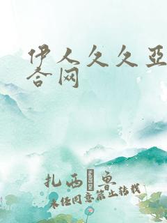 伊人久久亚洲综合网