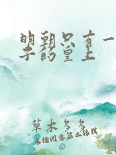 明朝只有一个妻子的皇上