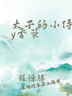 太子的小侍妾by香荣