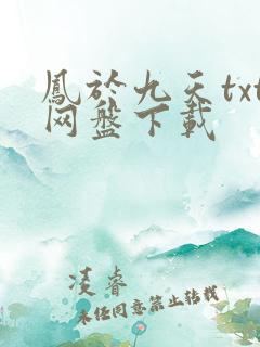 凤于九天txt网盘下载