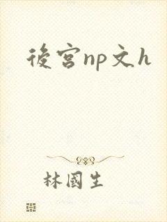 后宫np文h