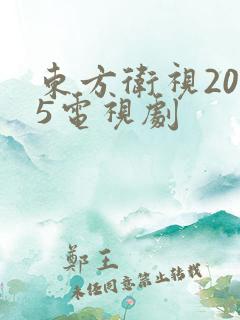 东方卫视2025电视剧