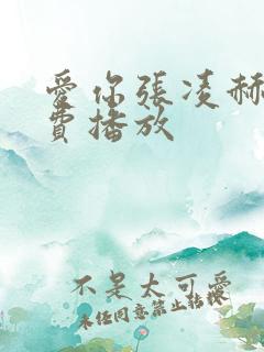 爱你张凌赫全免费播放