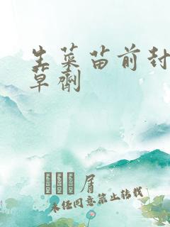 生菜苗前封闭除草剂