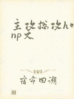 主攻总攻h啪肉np文