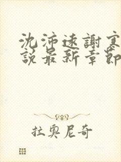 沈沛远谢寒雁小说最新章节更新内容