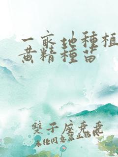 一亩地种植多少黄精种苗