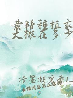 黄精种植亩产量大概在多少这样? 黄精种植亩产量大概在多少这样?