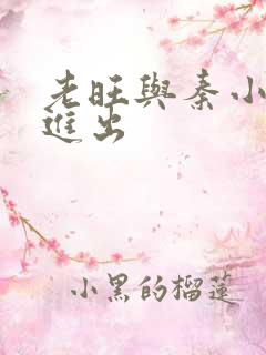 老旺与秦小雨猛进出