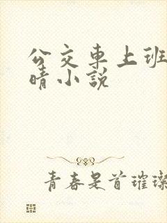 公交车上班的苏晴小说