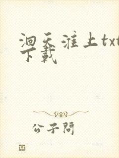 洄天淮上txt下载