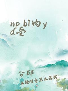 np bl肉yd受