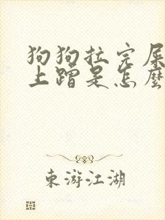狗狗拉完屎在地上蹭是怎么回事