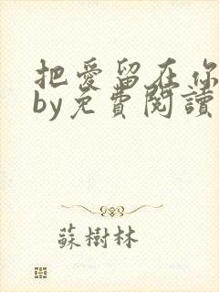 把爱留在你身边by免费阅读