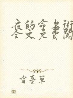 夜的命名术庆尘全文免费阅读全文