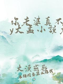 你老婆真不错by大孟小说免费阅读笔趣