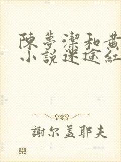 陈梦洁和黄杰的小说迷途红颜