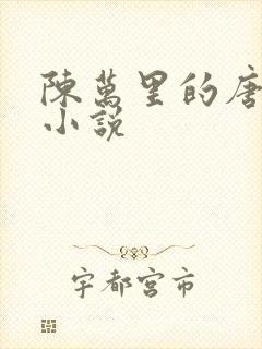 陈万里的唐嫣然小说