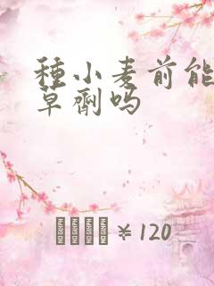 种小麦前能打除草剂吗