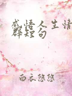 感悟人生情感精辟短句