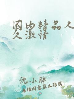 国内精品人妻久久激情
