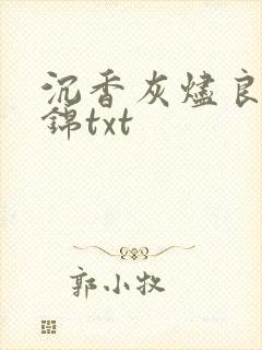 沉香灰烬良陈美锦txt
