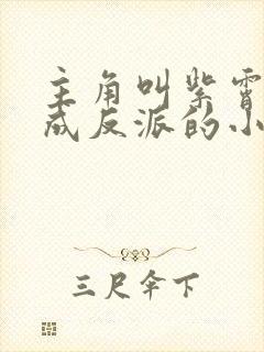 主角叫紫霄穿越成反派的小说