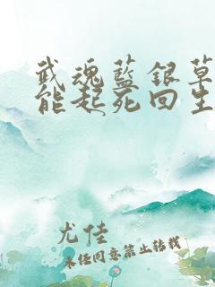 武魂蓝银草,我能起死回生完整版 武魂蓝银草,我能起死回生完整版