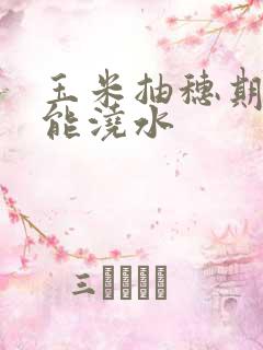 玉米抽穗期能不能浇水