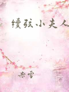 续弦小夫人最新