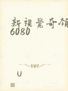 新视觉奇领yy6080