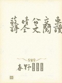 苏晴公交车上的诗全文阅读