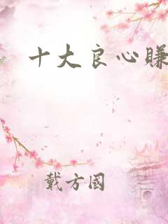 十大良心赚钱