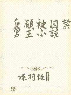 自愿被囚禁的双男主小说