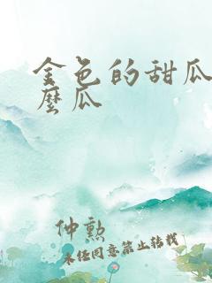金色的甜瓜是什么瓜