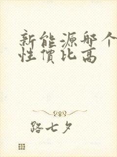 新能源哪个牌子性价比高