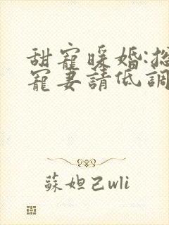 甜宠暖婚:总裁宠妻请低调