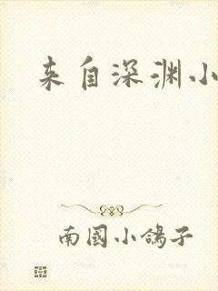 来自深渊小说