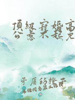 顶级宠婚高冷老公惹不起免费阅读