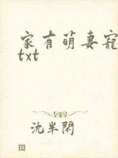 家有萌妻宠上天txt